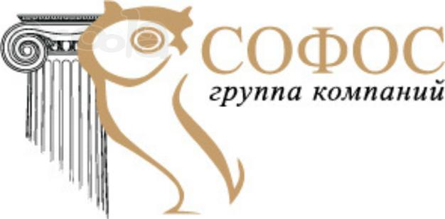 Профессиональные юридические услуги, (лицензии в госорганах).