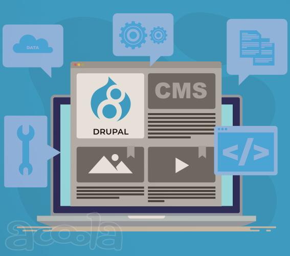 Услуги по поддержке интернет проектов на CMS Drupal