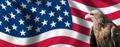 Помощь с получение визы в США