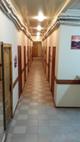 500 000 р/мес. Хостел, общежитие и 2 автобуса.