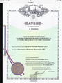 Производство наномодицированных сухих строительных смесей