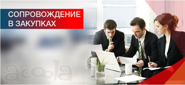 Полное тендерное сопровождение