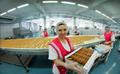 Продам действующее пищевое производство. Стабильность