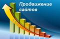Приведу на Ваш сайт 3000 посетителей в сутки.