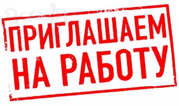 Работа в интернете