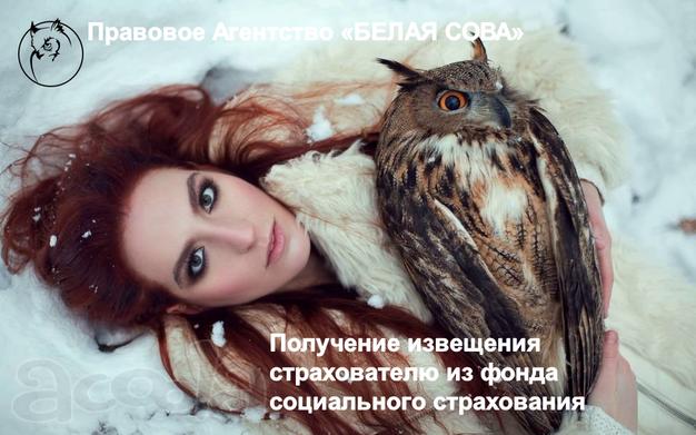 Получение извещения из ФСС