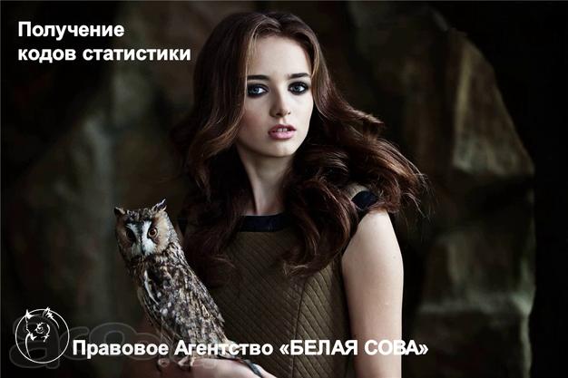 Получение кодов статистики