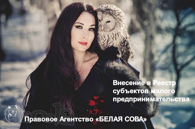 Внесение в Реестр субъектов малого и среднего предпринимательства
