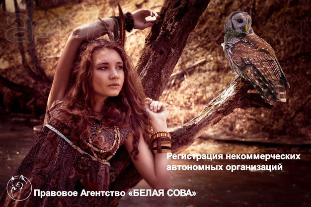 Регистрация некоммерческих автономных организаций