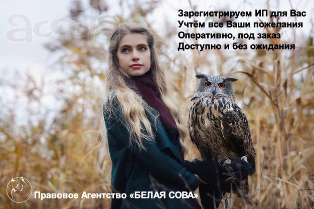 Регистрация предпринимателей