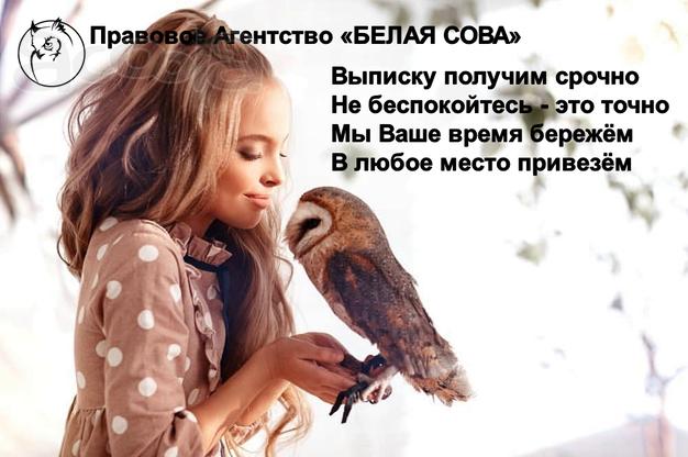 Выписка из ЕГРЮЛ срочно