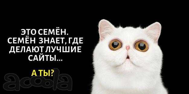 Создание сайтов "под ключ"