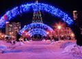 Монтаж Ёлок и Новогодних декораций