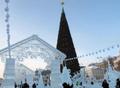 Установка Ледовых Городков