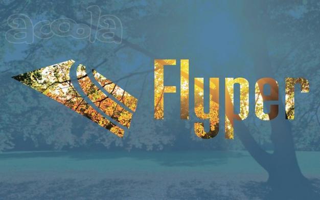 Мета поисковая система FlaYper