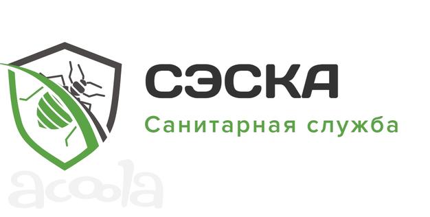 Дезинсекция, дезинфекция, дератизация