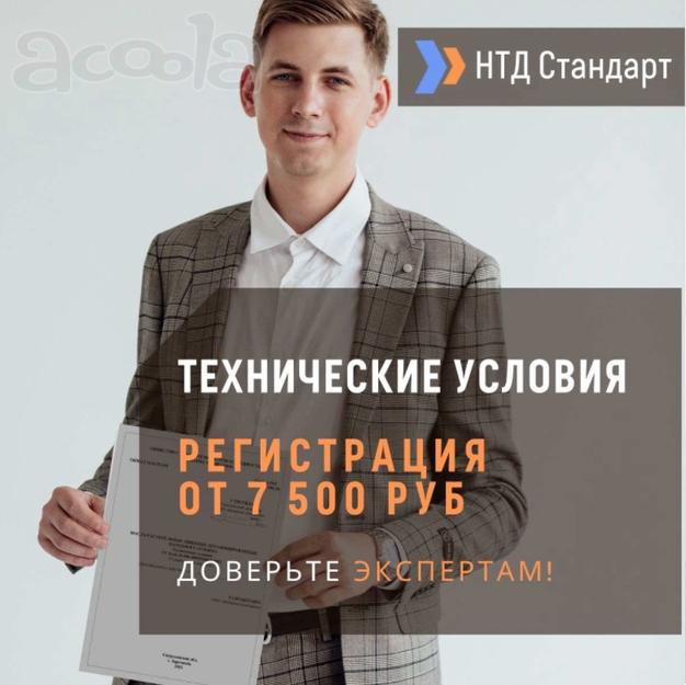 Регистрация технических условий