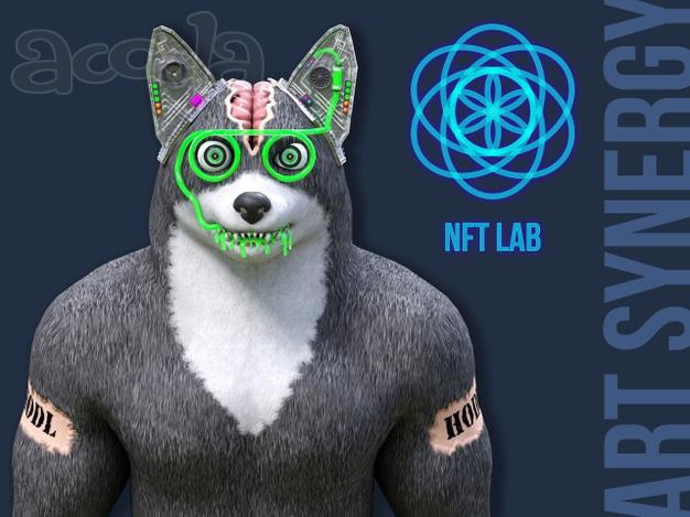 Создание NFT коллекций