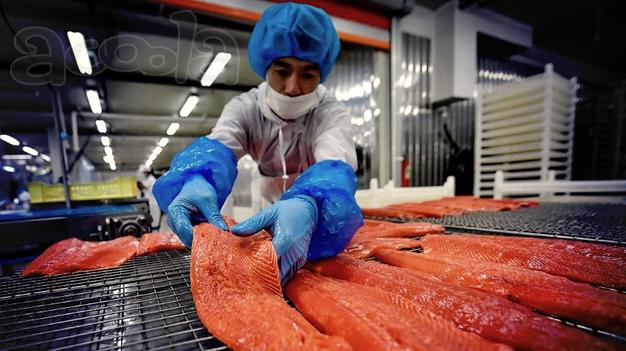 Продам стабильный бизнес: рыбзавод. До 1 млн прибыли