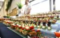 Кейтеринг в Москве и Подмосковье заказать по низкой цене с доставкой